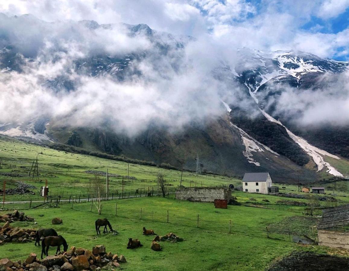 فندق Arte In Kazbegi المظهر الخارجي الصورة